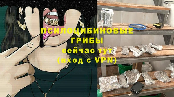 метадон Семёнов