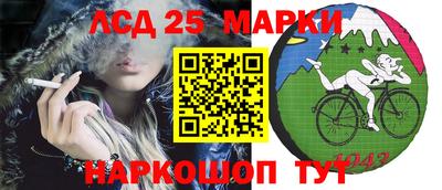 гидра Гай