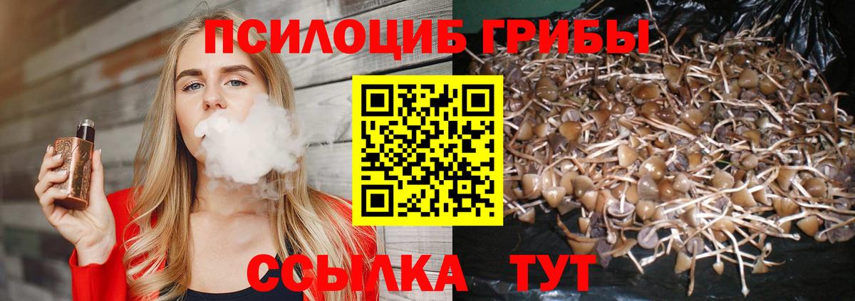 Псилоцибиновые грибы прущие грибы  Галлюциногенные грибы Magic Shrooms  Кстово  Вход с VPN 